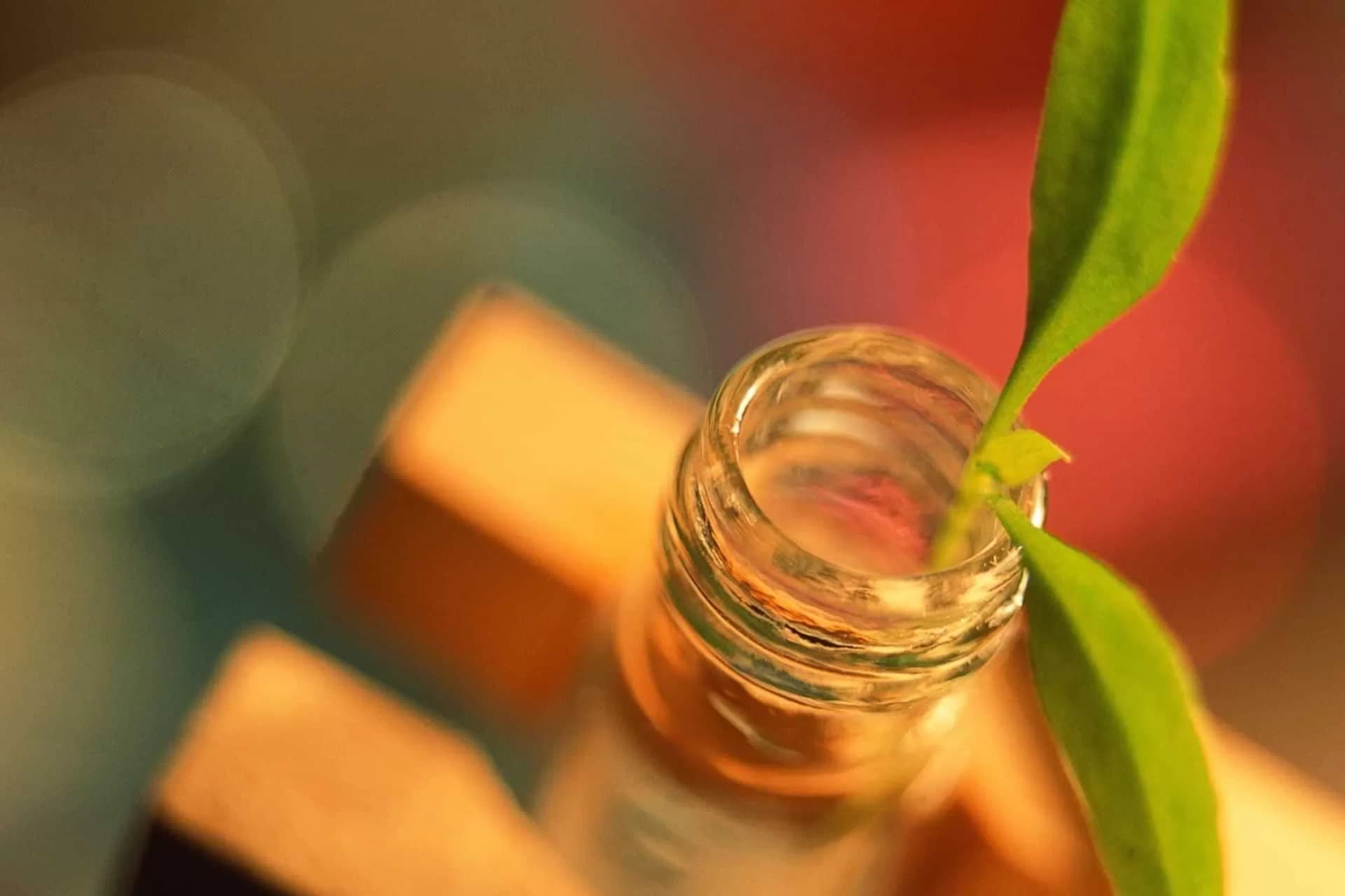 Green Plant in Test Tube showing Innovations in Sustainable Wastewater Treatment through Advanced Separation Technologies