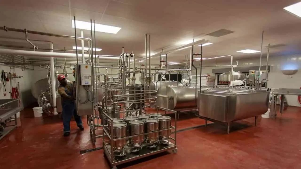 Food, Dairy & Beverages