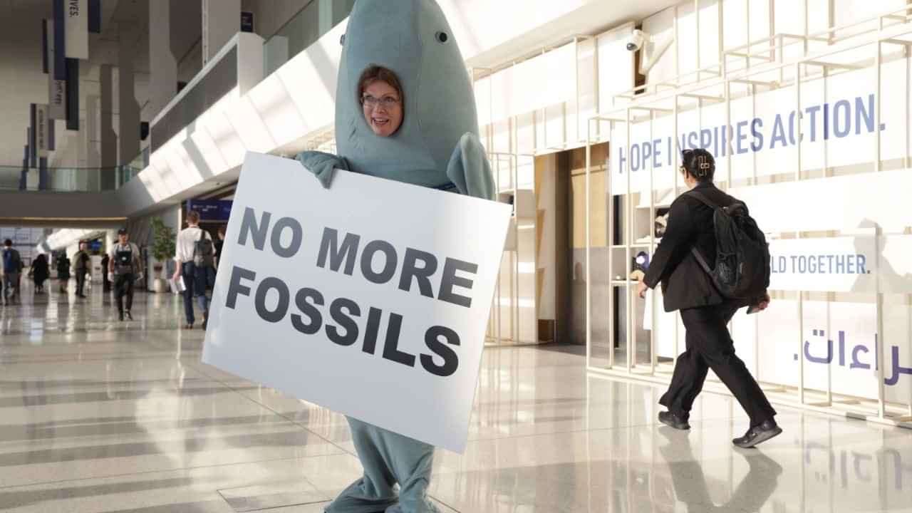 No More Fossils banner