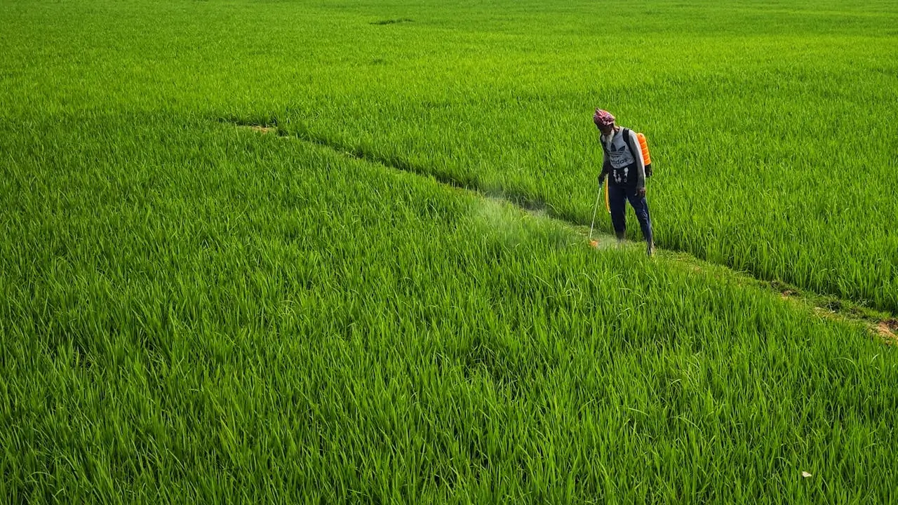 5 Applications of Nanobubbles in Agriculture