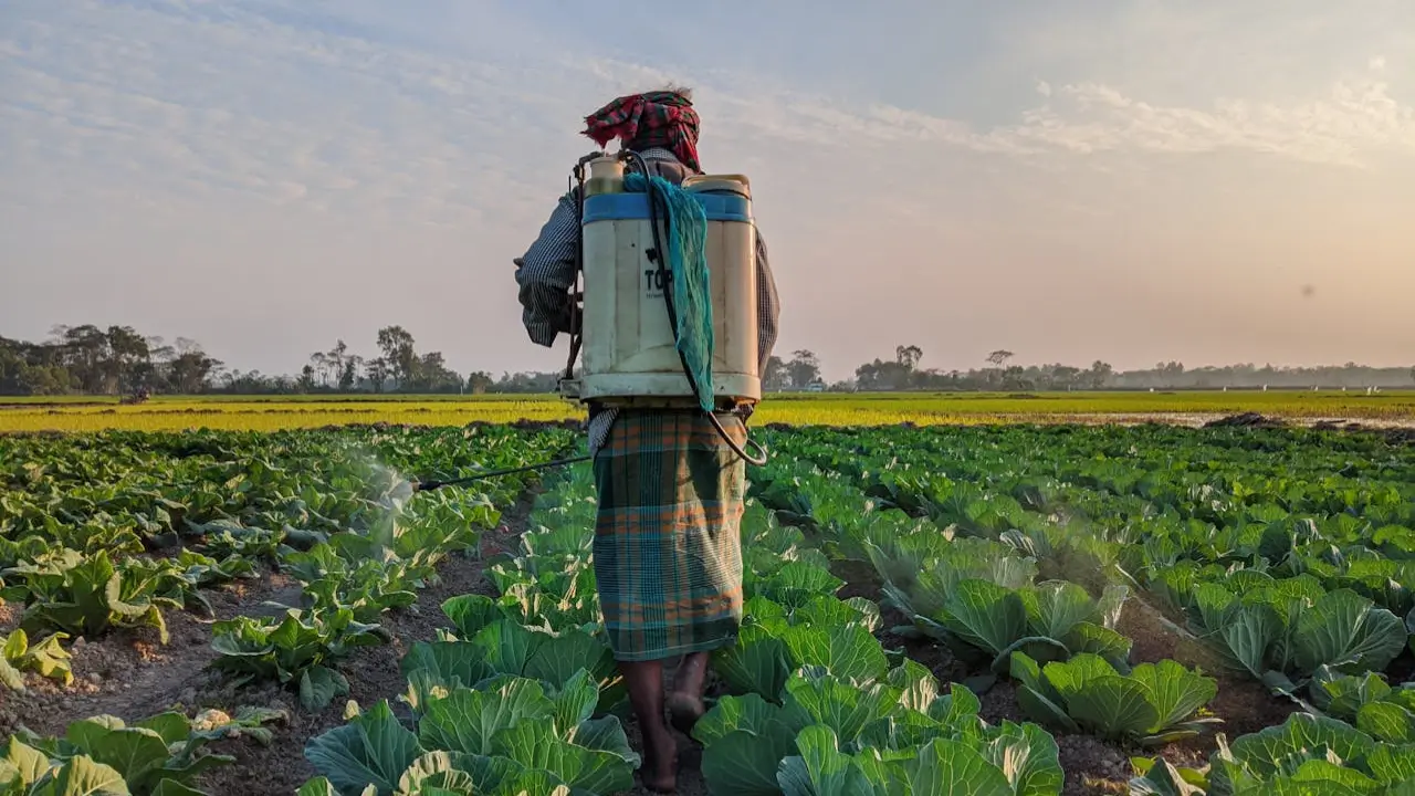 8 Best Ways to Reduce Fertiliser Consumption