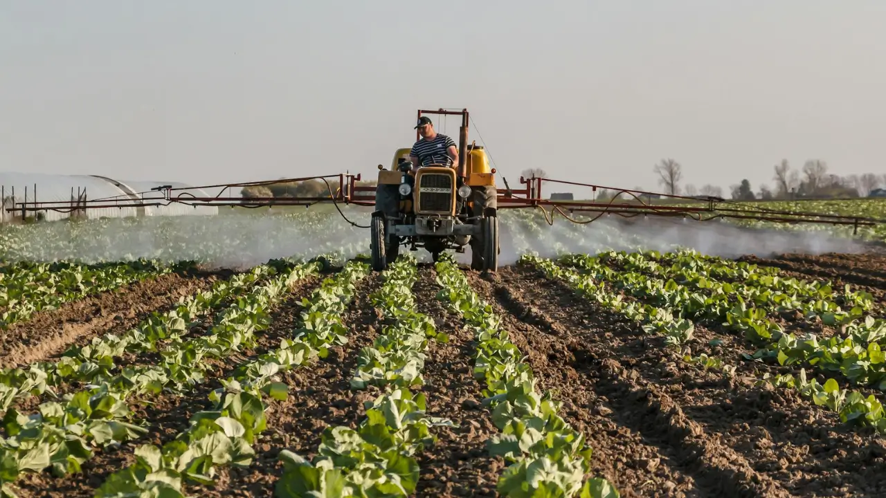 How to Increase Yield Without Using Fertilisers